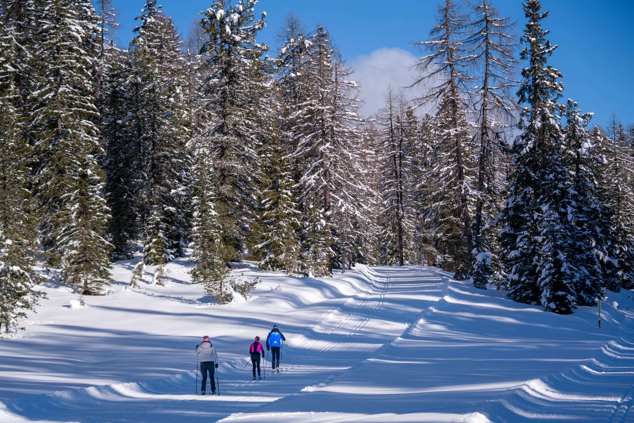 Sci di fondo_sci nordico a Cortina d'Ampezzo_Fiames_