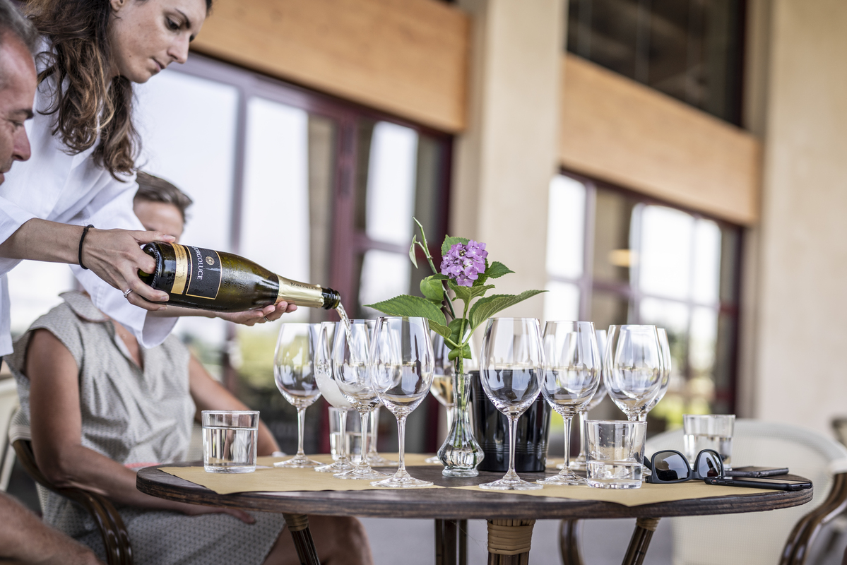 Degustazione Borgoluce- Colline del Prosecco