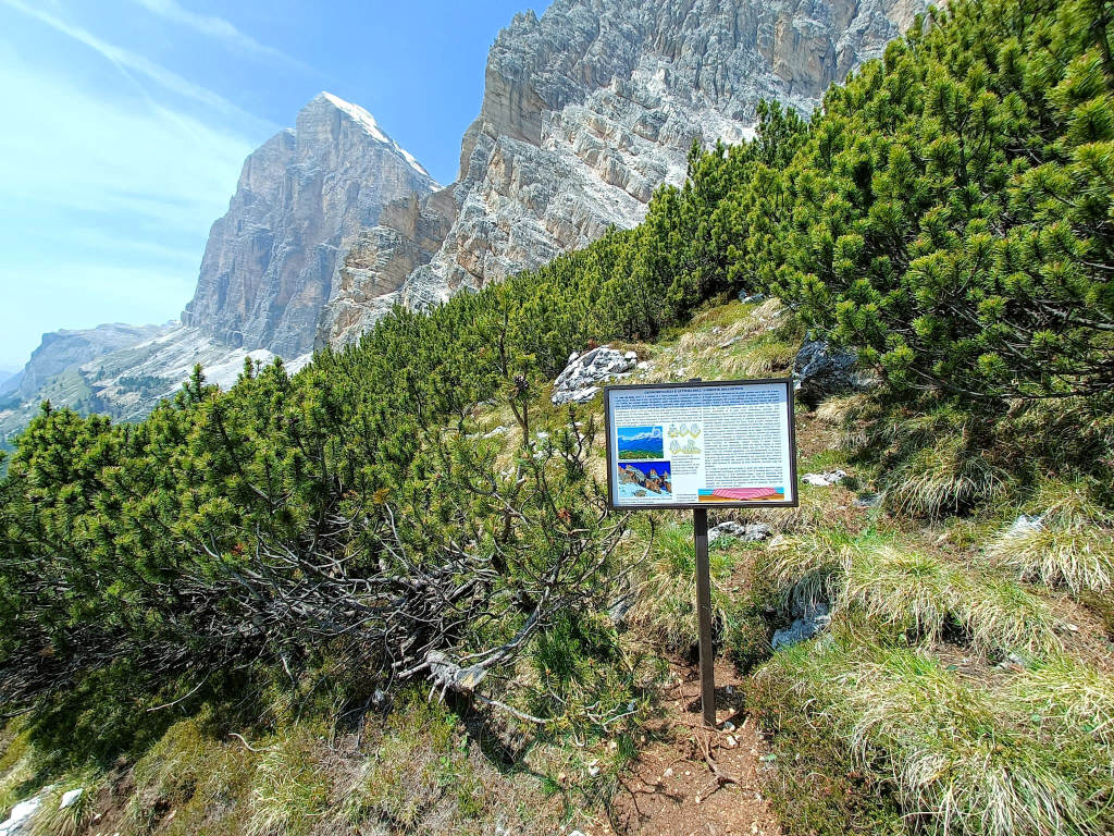sentiero-naturalistico-tofana