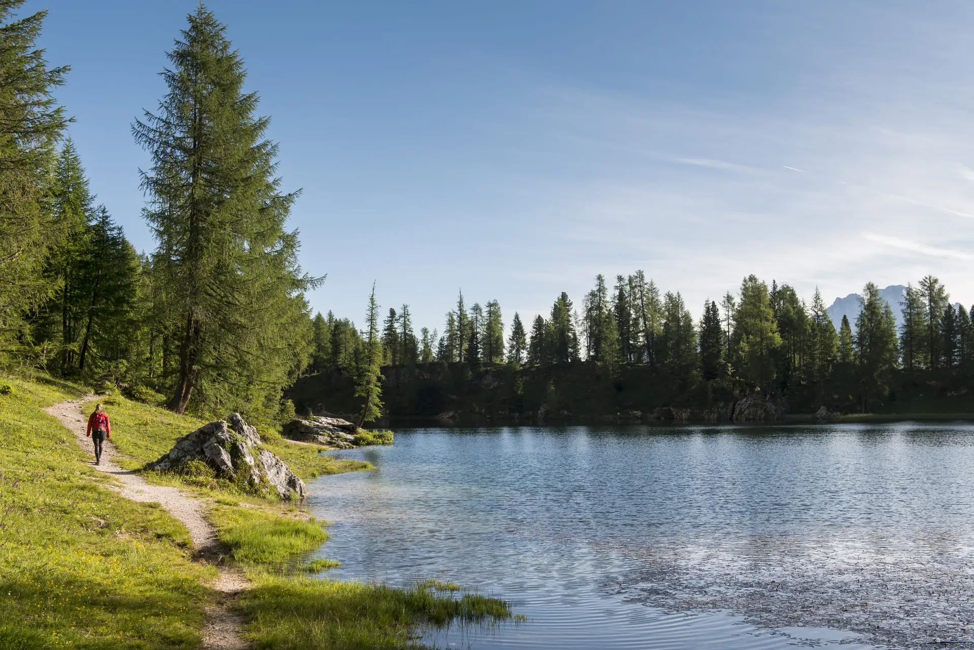 Trekking Lago di Federa, Croda da Lago Cortina estate