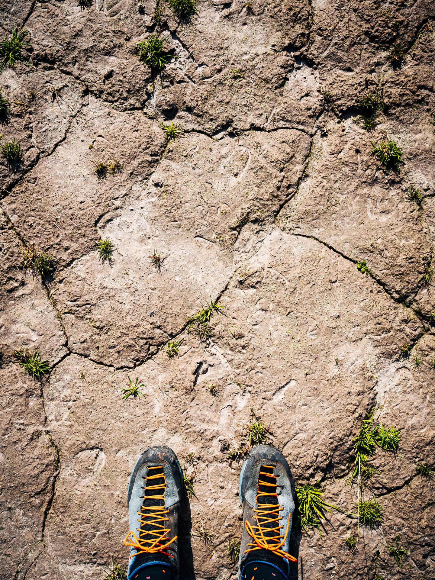Trekking a Cortina, scarpe e terra
