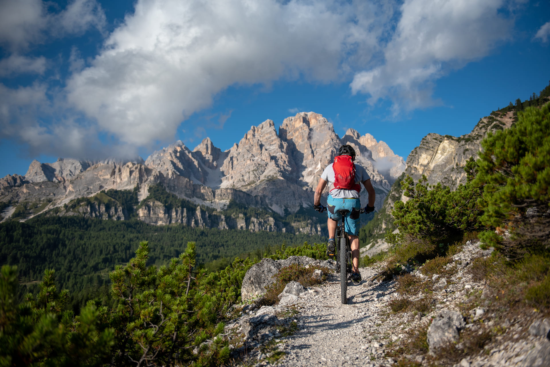 Mountain Bike - Faloria Cortina